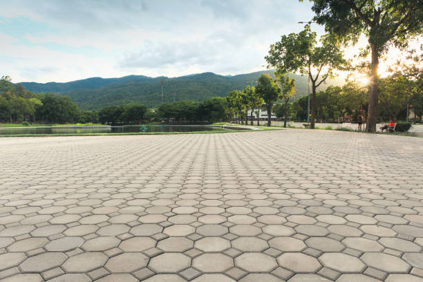 Best Decorative Driveway Pavers  in Somerville, TX