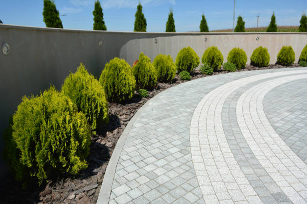 Driveway Repair Near Me in Somerville, TX